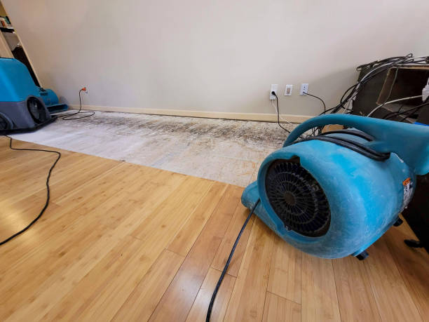 Professional Flood Damage Cleanup technician working in Miami, OK